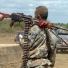Krieg und Waffen