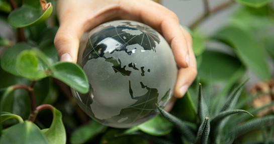 Klima und Klimawandel