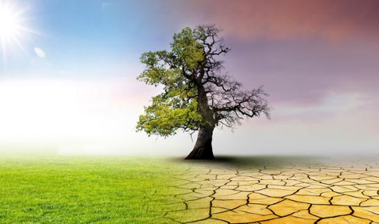 Auswirkungen des Klimawandels 