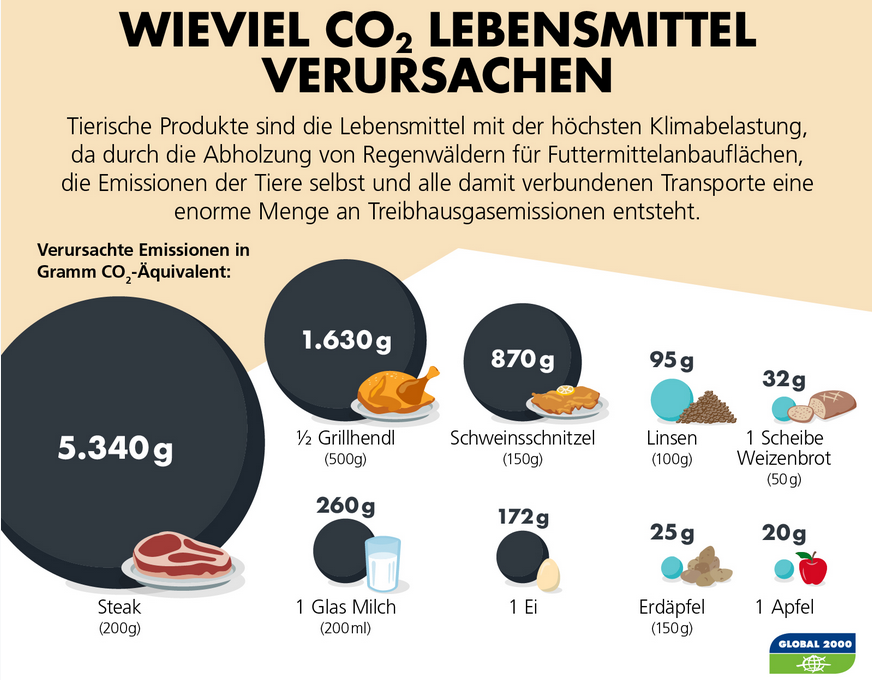 Die Grafik zeigt, wie viel CO2 verschiedene Lebensmittel verursachen