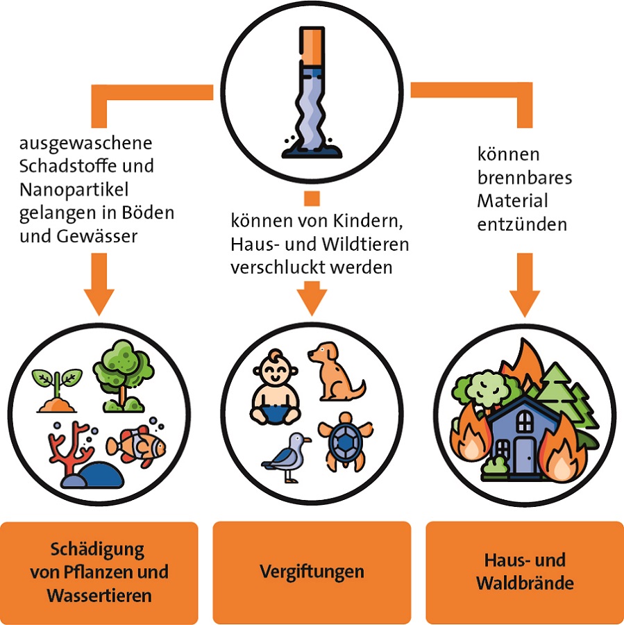 Kurze Beschreibung, was das Bild zeigt