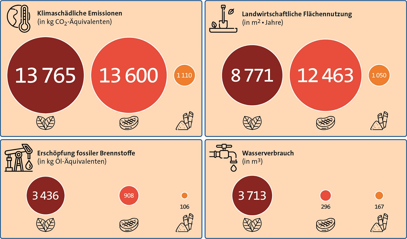 Kurze Beschreibung, was das Bild zeigt